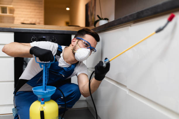 Best Pest Control Near Me  in Oaklawn Sunview, KS