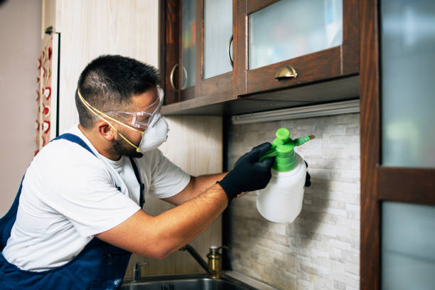 Best Pest Inspection Near Me  in Oaklawn Sunview, KS