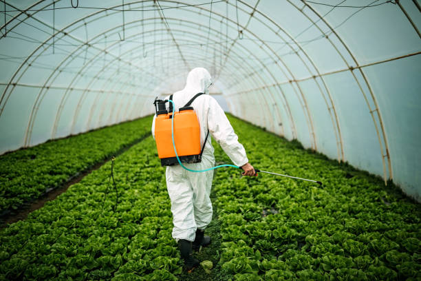 Best Local Pest Control Services  in Oaklawn Sunview, KS