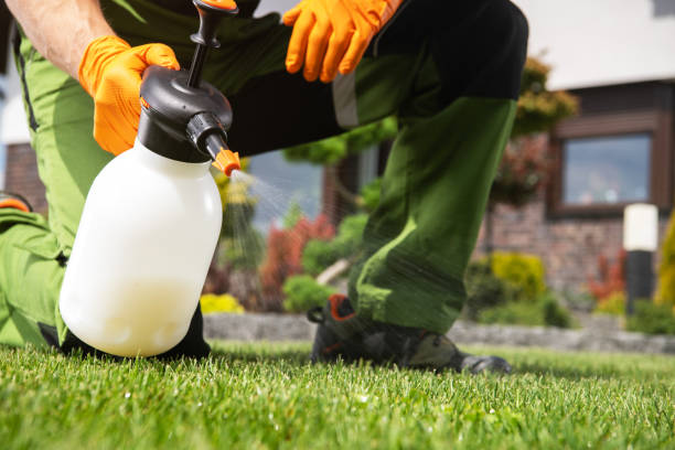 Best Wasp Removal Services  in Oaklawn Sunview, KS
