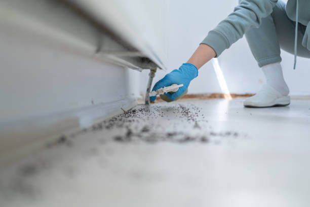 Best Insect Control  in Oaklawn Sunview, KS