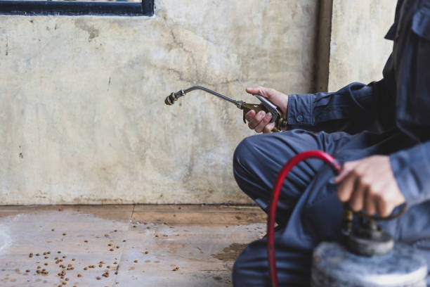 Best Mosquito Control Services  in Oaklawn Sunview, KS