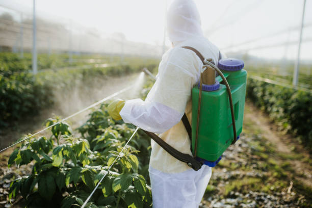 Reliable Oaklawn Sunview, KS Pest Control Solutions